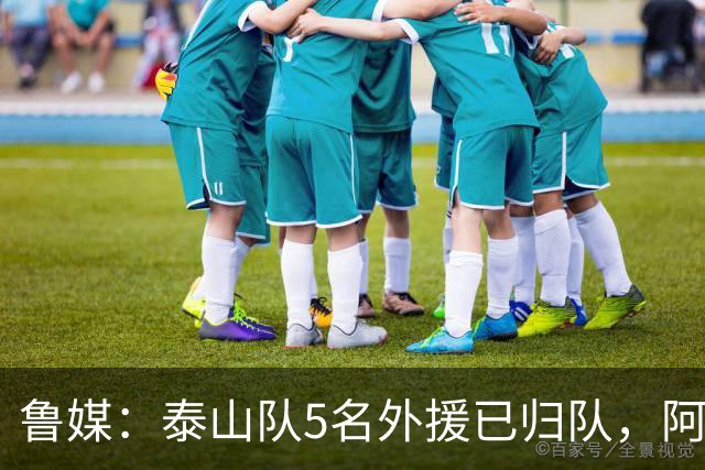 鲁媒：泰山队5名外援已归队，阿尔瓦罗6月份复出难度比较大